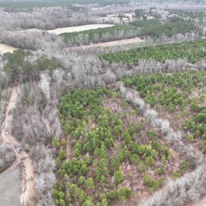Photo #7 of Off of Creek Road, Jamesville, NC 42.0 acres
