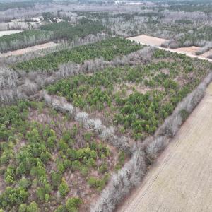 Photo #8 of Off of Creek Road, Jamesville, NC 42.0 acres