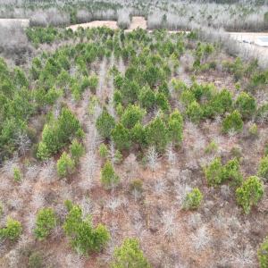 Photo #9 of Off of Creek Road, Jamesville, NC 42.0 acres