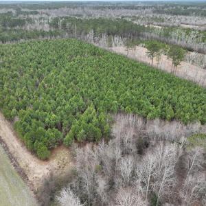 Photo #20 of Off of Creek Road, Jamesville, NC 42.0 acres