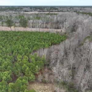 Photo #21 of Off of Creek Road, Jamesville, NC 42.0 acres
