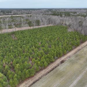 Photo #22 of Off of Creek Road, Jamesville, NC 42.0 acres