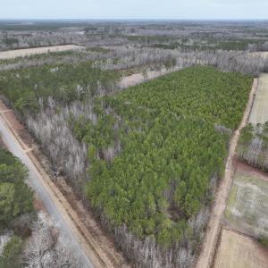 Photo #24 of Off of Creek Road, Jamesville, NC 42.0 acres