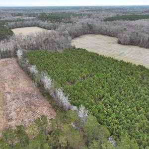 Photo #27 of Off of Creek Road, Jamesville, NC 42.0 acres
