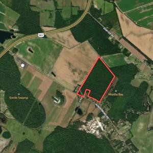 Photo #1 of Penderboro Rd, Marion, SC 54.9 acres
