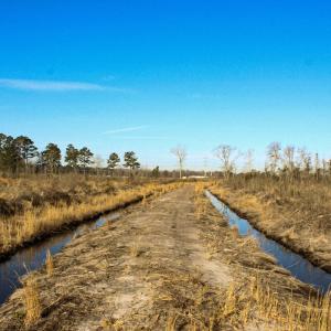Photo #9 of Penderboro Rd, Marion, SC 54.9 acres