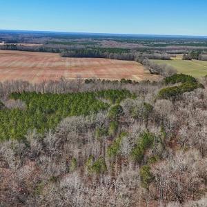 Photo #4 of off Railroad Street, Jackson, NC 1.0 acres
