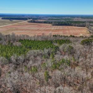 Photo #6 of off Railroad Street, Jackson, NC 1.0 acres