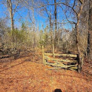 Photo #22 of off Railroad Street, Jackson, NC 1.0 acres
