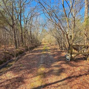 Photo #23 of off Railroad Street, Jackson, NC 1.0 acres