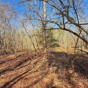 Photo #24 of off Railroad Street, Jackson, NC 1.0 acres