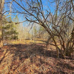 Photo #25 of off Railroad Street, Jackson, NC 1.0 acres
