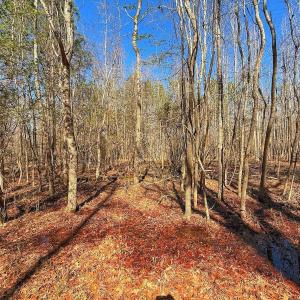 Photo #26 of off Railroad Street, Jackson, NC 1.0 acres