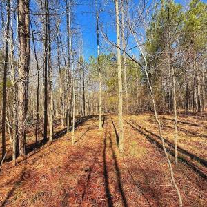 Photo #27 of off Railroad Street, Jackson, NC 1.0 acres