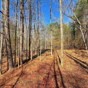 Photo #28 of off Railroad Street, Jackson, NC 1.0 acres