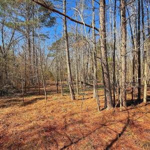 Photo #29 of off Railroad Street, Jackson, NC 1.0 acres