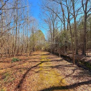 Photo #30 of off Railroad Street, Jackson, NC 1.0 acres