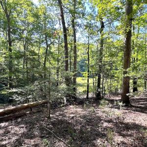 Photo #17 of SOLD property in Off Doggett Lane, Carrollton, VA 42.0 acres