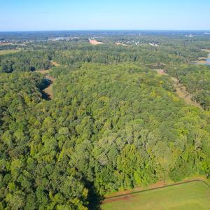 Photo #4 of SOLD property in Off Doggett Lane, Carrollton, VA 42.0 acres