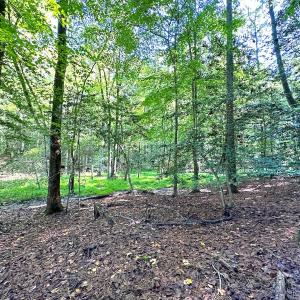 Photo #7 of SOLD property in Off Doggett Lane, Carrollton, VA 42.0 acres