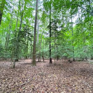 Photo #10 of Off Doggett Lane, Carrollton, VA 50.3 acres
