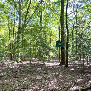 Photo #14 of Off Doggett Lane, Carrollton, VA 50.3 acres