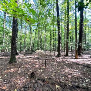 Photo #15 of Off Doggett Lane, Carrollton, VA 50.3 acres
