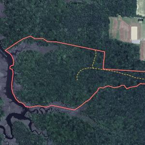 Photo #1 of Off Doggett Lane, Carrollton, VA 50.3 acres