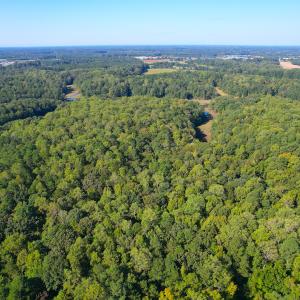 Photo #2 of Off Doggett Lane, Carrollton, VA 50.3 acres
