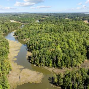 Photo #4 of Off Doggett Lane, Carrollton, VA 50.3 acres