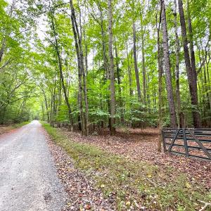 Photo #5 of Off Doggett Lane, Carrollton, VA 50.3 acres