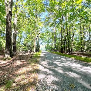 Photo #6 of Off Doggett Lane, Carrollton, VA 50.3 acres