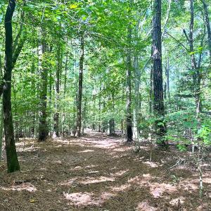 Photo #7 of Off Doggett Lane, Carrollton, VA 50.3 acres