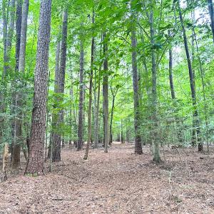 Photo #8 of Off Doggett Lane, Carrollton, VA 50.3 acres