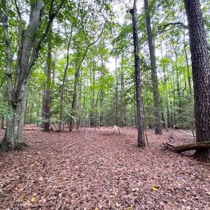 Photo #9 of Off Doggett Lane, Carrollton, VA 50.3 acres