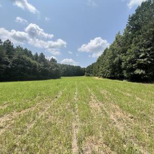 Photo #1 of SOLD property in 02 Todd Road, Roxboro, NC 35.4 acres