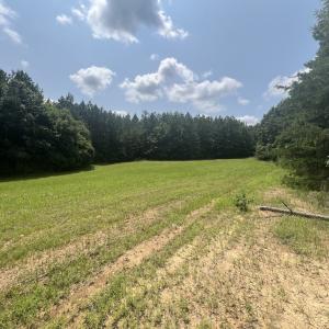 Photo #2 of SOLD property in 02 Todd Road, Roxboro, NC 35.4 acres