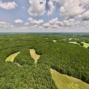 Photo #3 of SOLD property in 02 Todd Road, Roxboro, NC 35.4 acres