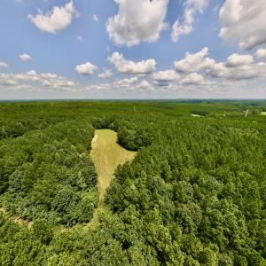 Photo #4 of SOLD property in 02 Todd Road, Roxboro, NC 35.4 acres