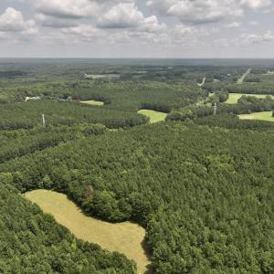 Photo #5 of SOLD property in 02 Todd Road, Roxboro, NC 35.4 acres