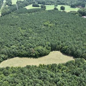 Photo #6 of SOLD property in 02 Todd Road, Roxboro, NC 35.4 acres