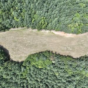 Photo #7 of SOLD property in 02 Todd Road, Roxboro, NC 35.4 acres