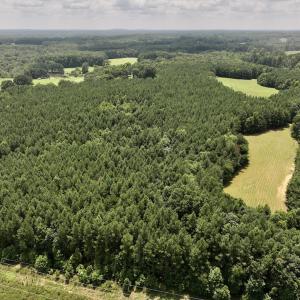 Photo #8 of SOLD property in 02 Todd Road, Roxboro, NC 35.4 acres
