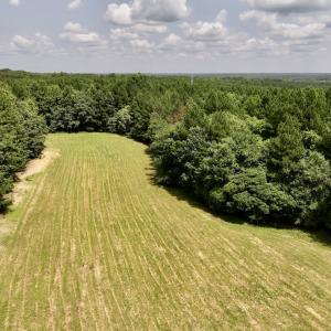 Photo #9 of SOLD property in 02 Todd Road, Roxboro, NC 35.4 acres