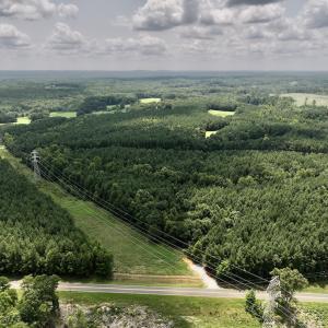 Photo #19 of SOLD property in 02 Todd Road, Roxboro, NC 35.4 acres