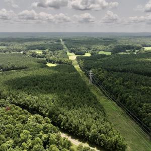 Photo #20 of SOLD property in 02 Todd Road, Roxboro, NC 35.4 acres