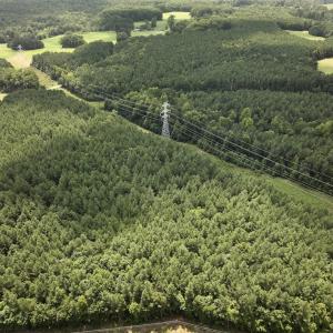 Photo #22 of SOLD property in 02 Todd Road, Roxboro, NC 35.4 acres