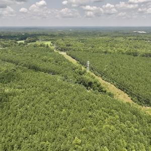 Photo #24 of SOLD property in 02 Todd Road, Roxboro, NC 35.4 acres