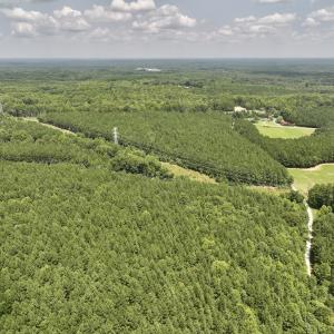 Photo #25 of SOLD property in 02 Todd Road, Roxboro, NC 35.4 acres