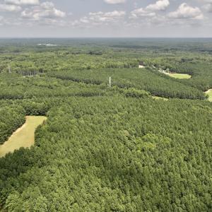 Photo #26 of SOLD property in 02 Todd Road, Roxboro, NC 35.4 acres